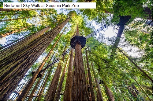 Redwood Sky Walk at Sequoia Park Zoo