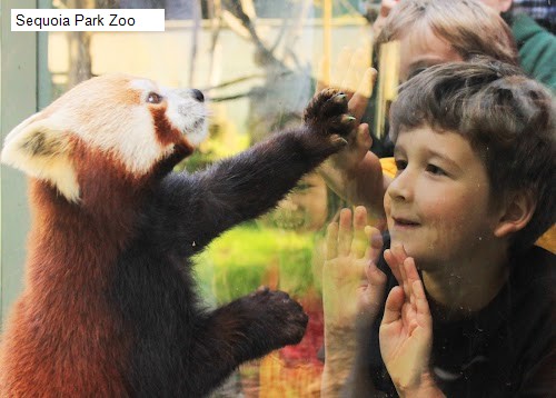 Sequoia Park Zoo