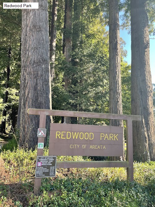 Redwood Park