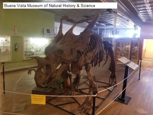 Buena Vista Museum of Natural History & Science