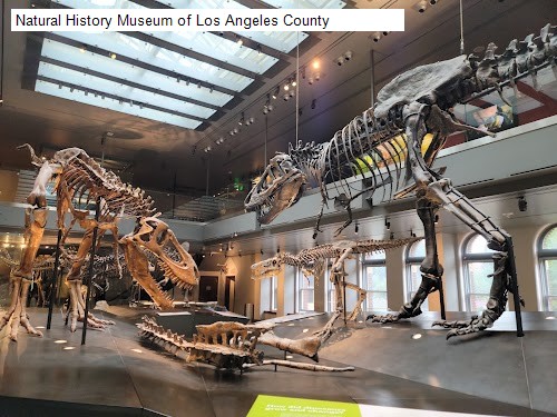 Natural History Museum of Los Angeles County