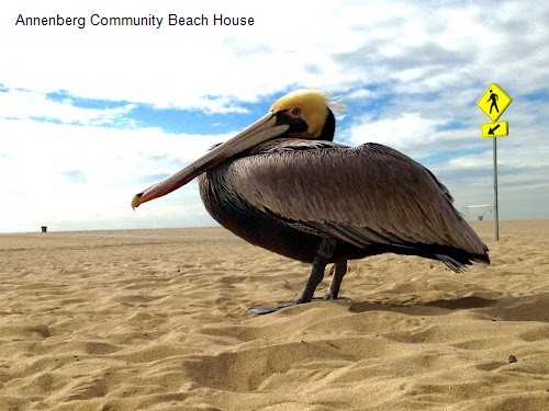 Annenberg Community Beach House