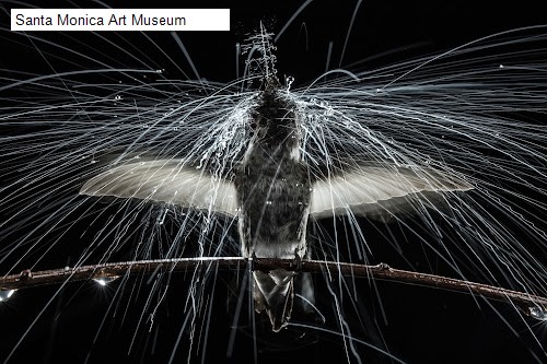 Santa Monica Art Museum