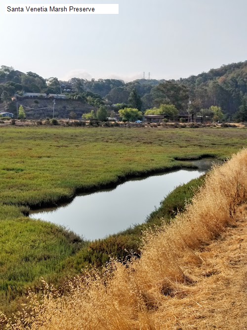 Santa Venetia Marsh Preserve