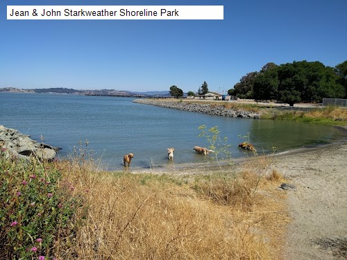 Jean & John Starkweather Shoreline Park