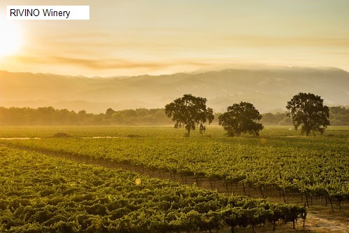 RIVINO Winery