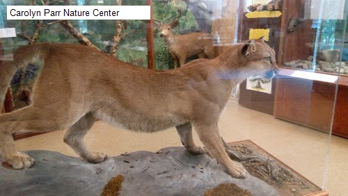 Carolyn Parr Nature Center