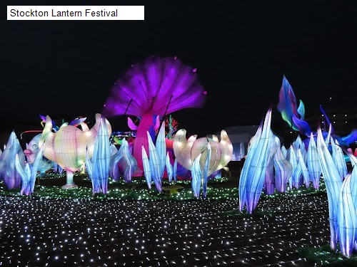 Stockton Lantern Festival