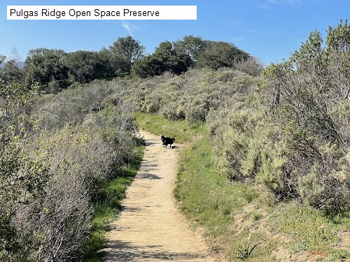 Pulgas Ridge Open Space Preserve