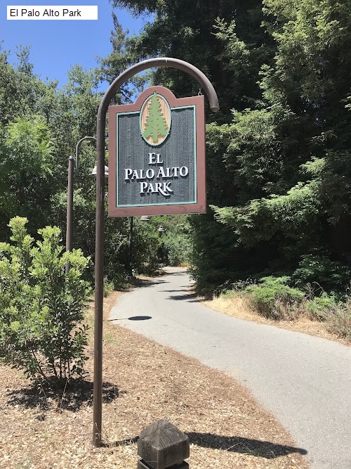 El Palo Alto Park