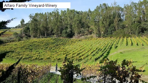 Alfaro Family Vineyard-Winery