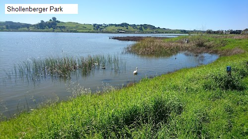 Shollenberger Park