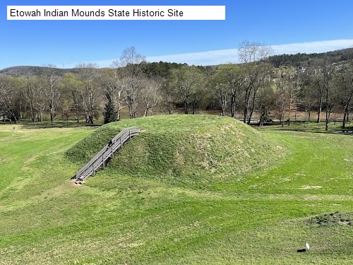 Etowah Indian Mounds State Historic Site